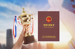 国家发明专利